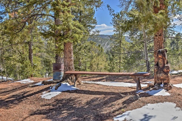 Cabin with Mtn Views - 5 Mi to Mueller State Park! image 22